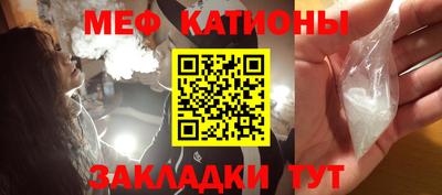стафф Камышлов
