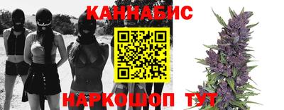 стафф Камышлов