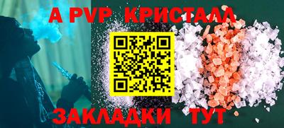 стафф Камышлов