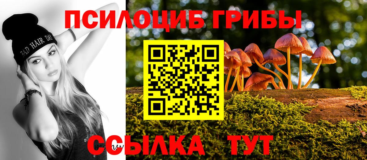 Златоуст  Псилоцибиновые грибы Magic Shrooms  наркотики  Вход с VPN 